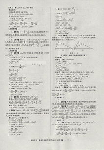 湖南教育出版社九年级下册物理一本答案RJ，揭秘教材中的奥秘与困惑