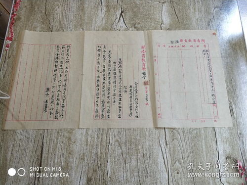 湖南省教育厅考试院档案袋用途何在？