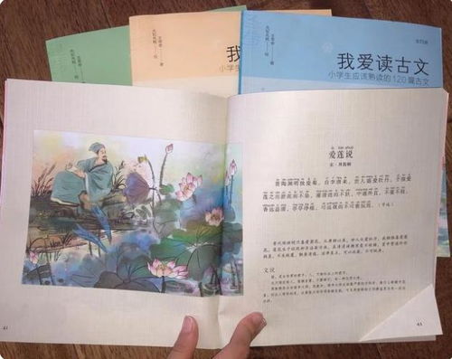 四年级小古文，湖南教育出版社如何引领阅读？