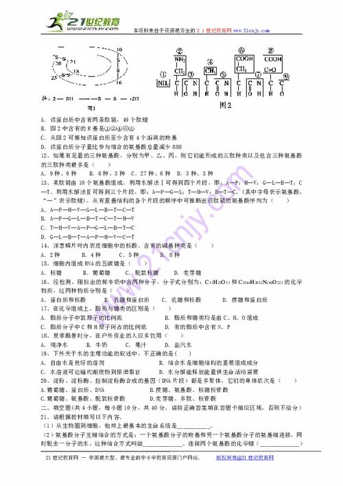 湖南高一期中联考，a佳教育表现如何？