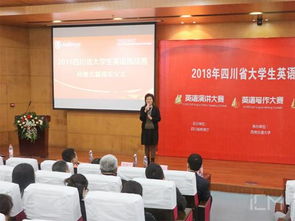 湖南省教育厅财建处刘副处长，职责与挑战何在？