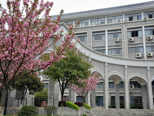 湖南第一师范学院教育学原理，如何深入理解？