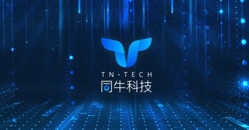 湖南紫牛信息科技，谁是VR教育领域的领跑者？