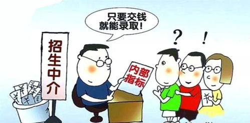 宁远县小升初政策，家长疑问解答