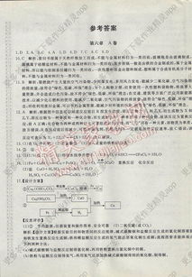 新课堂AB卷，九年级上册数学，湖南教育版，有何奥秘？
