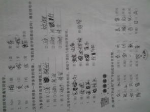 湖南教育出版社五年级下册苏教版教材有何特色？