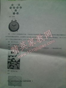 湖南教育出版社六年级上，有哪些亮点？