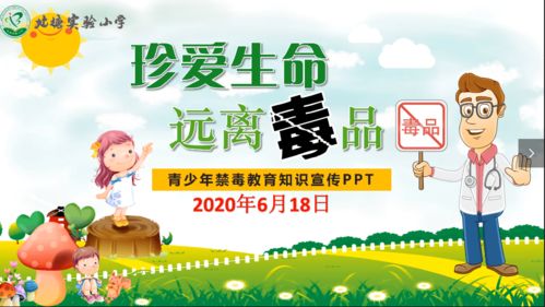 新宁县禁毒教育片，效果如何？