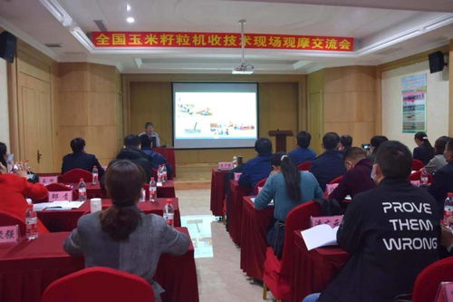 湖南师大教育科学学院李教授的研究方向有哪些？