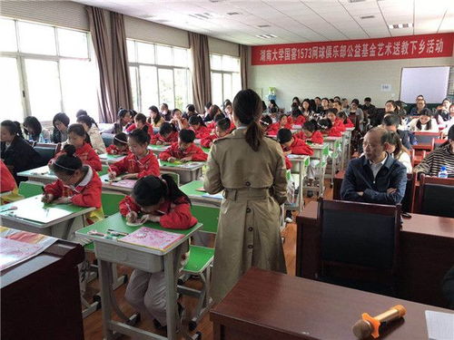 湖南中小学校教育发展网如何助力教育改革？