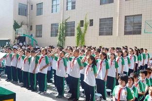 六年级教育课，湖南学子如何应对？