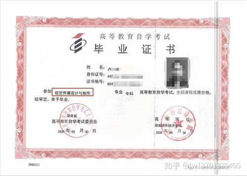湖南涉外经济学院教育专业招生吗？