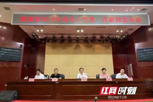 湖南省教育考试院王博担任何职位之谜？