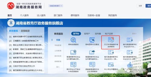 湖南省教育厅官网咨询电话查询？