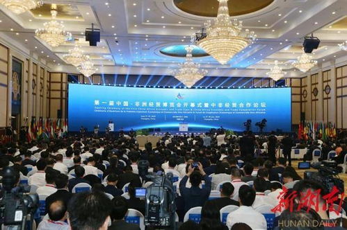 第十一届湖南高教盛会，哪些亮点值得关注？