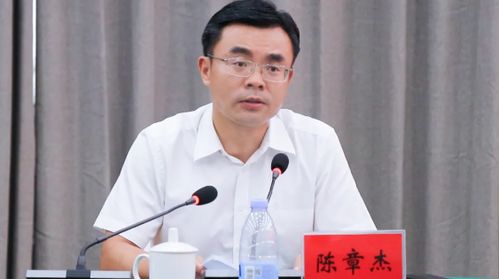 湖南省教育厅厅长夏是安化人吗？