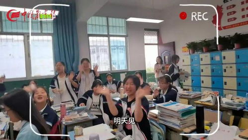 湖南师大学前教育部紫沂，揭秘其独特魅力？