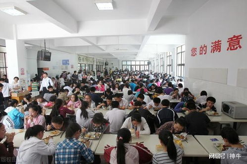 湖南省高校食堂外包，学生满意吗？