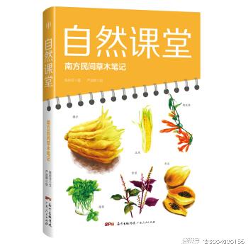 湖南人民教育出版社昆虫记，揭秘昆虫世界之谜？
