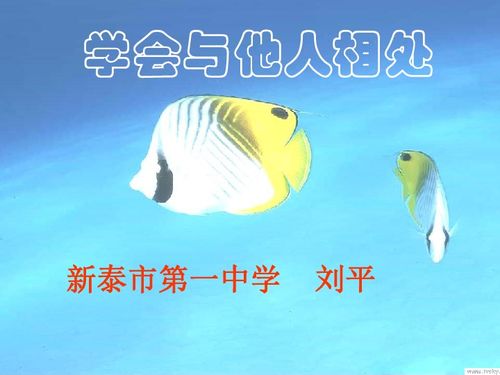 湖南蓝鲸鱼教育板绘公开课意欲何为？
