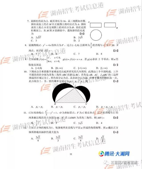 湖南高教背景考公务员，优势何在？