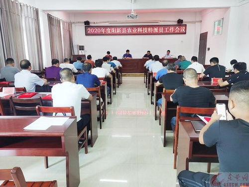 湖南省石门县教育优，贫困何由生？
