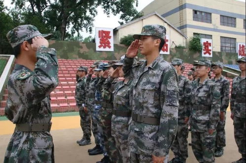 湖南国防教育陈教官籍贯之谜？