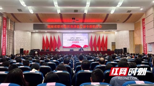 湖南省教育厅人事处冯臻，任职之谜待解？