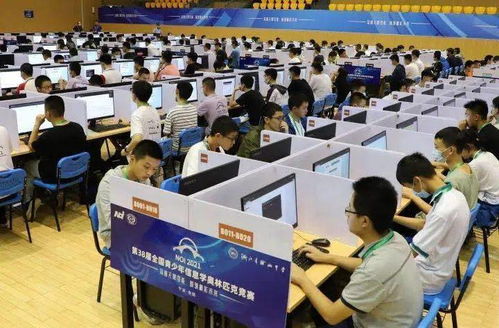 湖南省石门县新关教育网，信息平台如何助力教育发展？