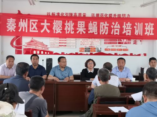 张家界奥数培训机构哪家强？