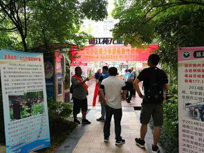 湖南永州市东安县教育网，信息覆盖如何？