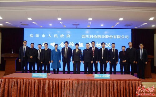 湖南省上府教育科技有限公司，揭秘其发展之谜？