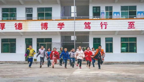 湖南省武冈市教育网官网，有何特别之处？