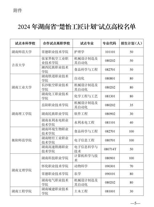 湖南省教育厅五年计划，未来教育发展何去何从？