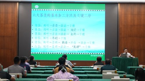 湖南省教育厅19年课题进展如何？