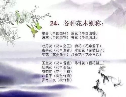 湖南教育出版社小学必背文学常识，你掌握多少？