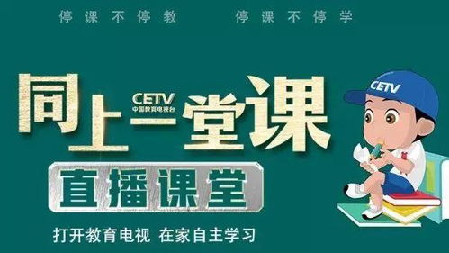 湖南无线电视教育部直播，哪些课程不容错过？