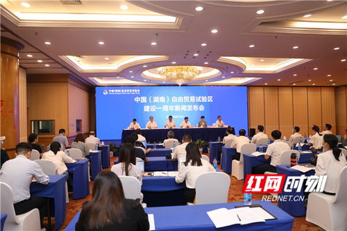 湖南省教育厅发布会回看，你错过了哪些亮点？