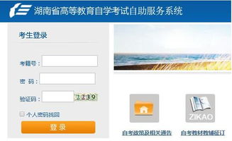 湖南省教育考试网官网，信息查询攻略？