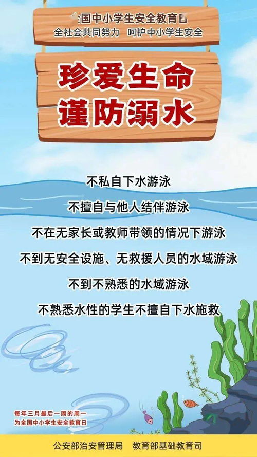 湖南卫视交通安全教育日节目，你了解多少？
