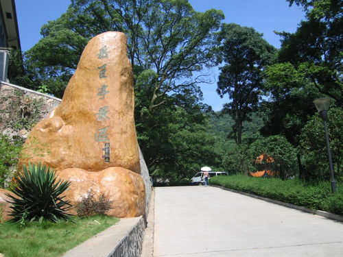 湖南师范大学教育学期末，哪些重点不容忽视？