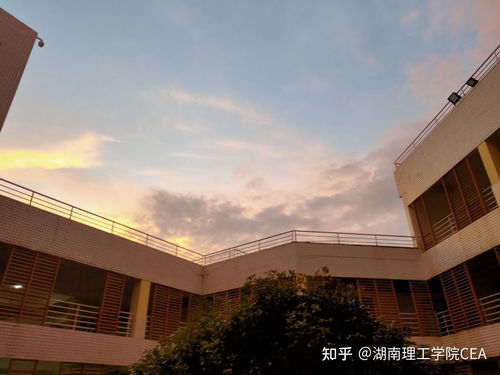 湖南理工学院小学教育学，培养未来教育者之路？