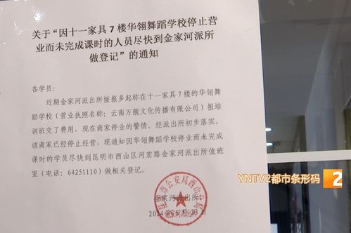 湖南省教育局自考办官网信息查询攻略？