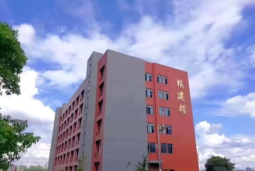 湖南教育电视台如何助力长沙职业技术学院发展？