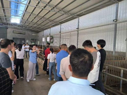 湖南省开慧教育学院官网揭秘？