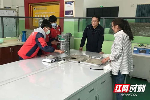 湖南人才教育网官网信息查询指南？