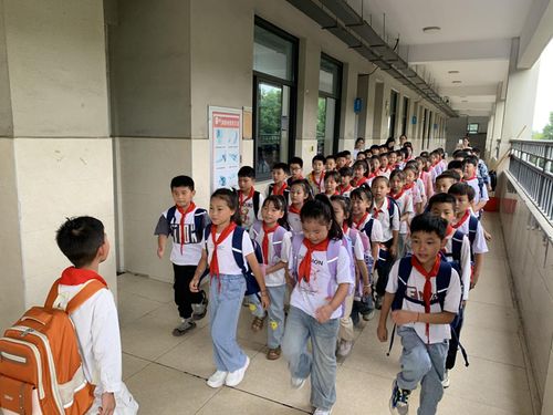 湖南中小学生教育发展网，助力教育改革之路？