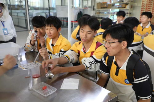 湖南一年级劳动教育如何实施？