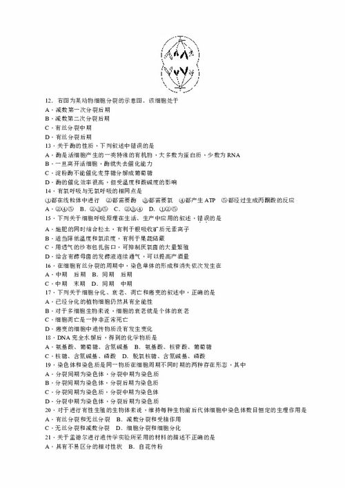 湖南师大考博教育学真题，揭秘考试奥秘？