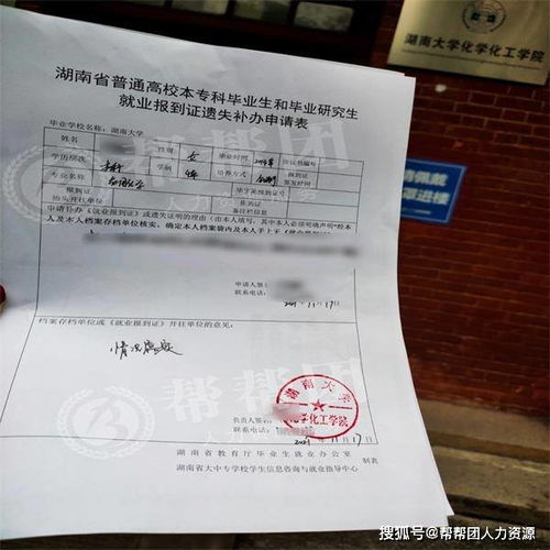 湖南省教育厅报到证改派，流程详解？